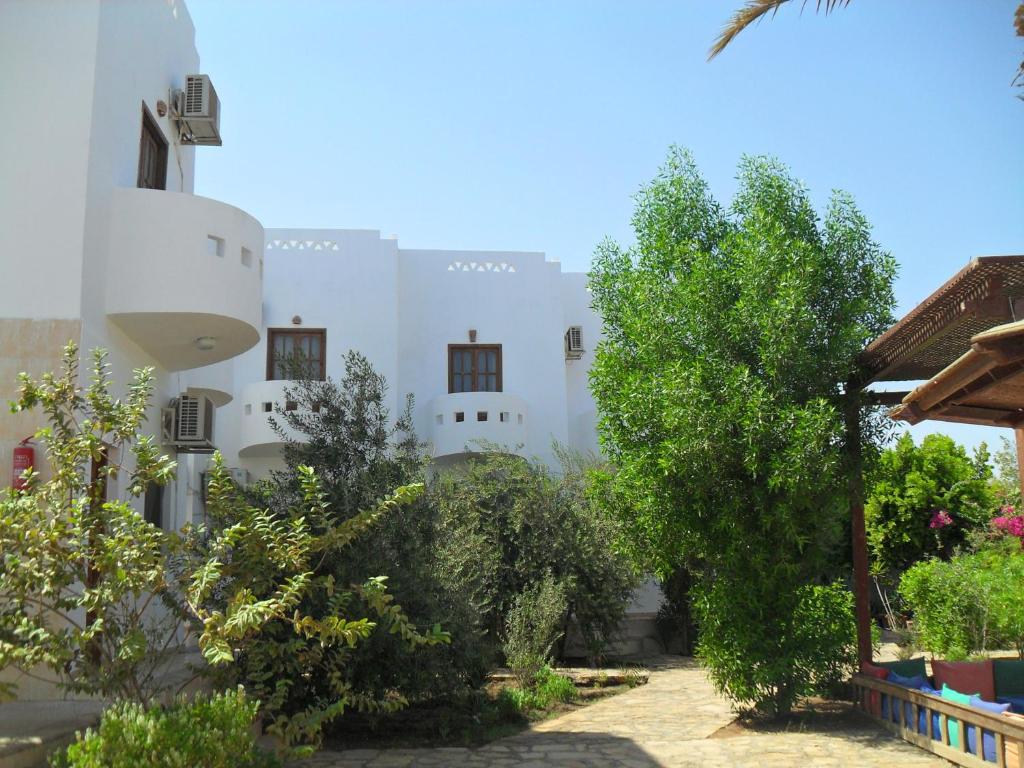 Photo #1 of Alaska Camp & Hotel in Dahab, Egypt
