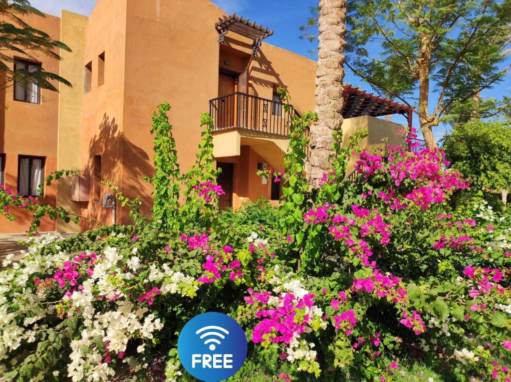Photo of Chalet Stella Makadi Beach 5* in red Sea, Egypt