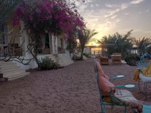 Photo #6 of Marine Garden Camp in Dahab, Egypt