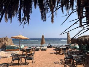 Photo #6 of Amanda beach hotel in Dahab, Egypt