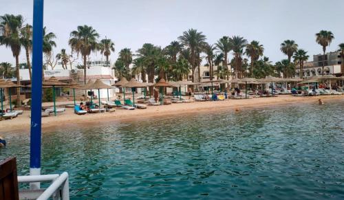 Photo #2 of Elixir in Hurghada, Egypt
