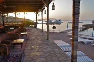 Photo #5 of Umbi Sharks Bay Diving Village in Sharm El Sheikh, Egypt