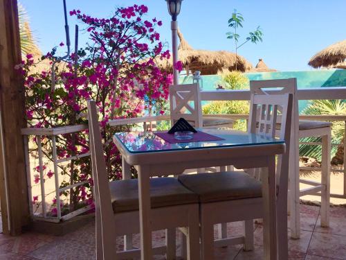 Photo #2 of Sunshine-divers club in Sharm El Sheikh, Egypt