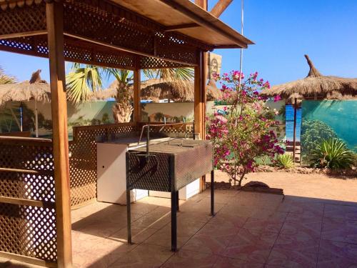 Photo #3 of Sunshine-divers club in Sharm El Sheikh, Egypt