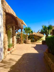 Photo #5 of Sunshine-divers club in Sharm El Sheikh, Egypt