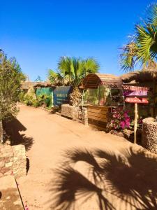 Photo #6 of Sunshine-divers club in Sharm El Sheikh, Egypt