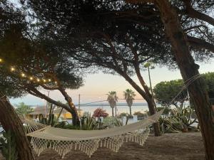 Photo #5 of Apartamentos Luxury Mazagón in Palos de la Frontera, Spain