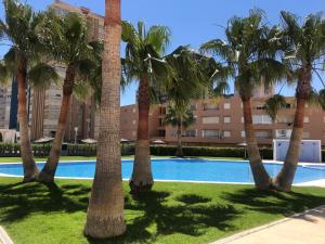 Photo #4 of Playa Valencia Residencial Sol y Mar Terraza con Vistas y Parking in La Pobla de Farnals, Spain