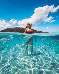 Photo #4 of Barefoot Kuata Island Resort in Yasawa Islands, Fiji