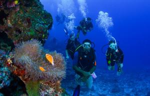 Photo #6 of Barefoot Kuata Island Resort in Yasawa Islands, Fiji