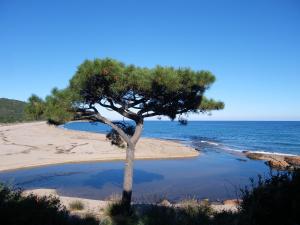 Photo #6 of Domaine de la Testa in Zonza, France