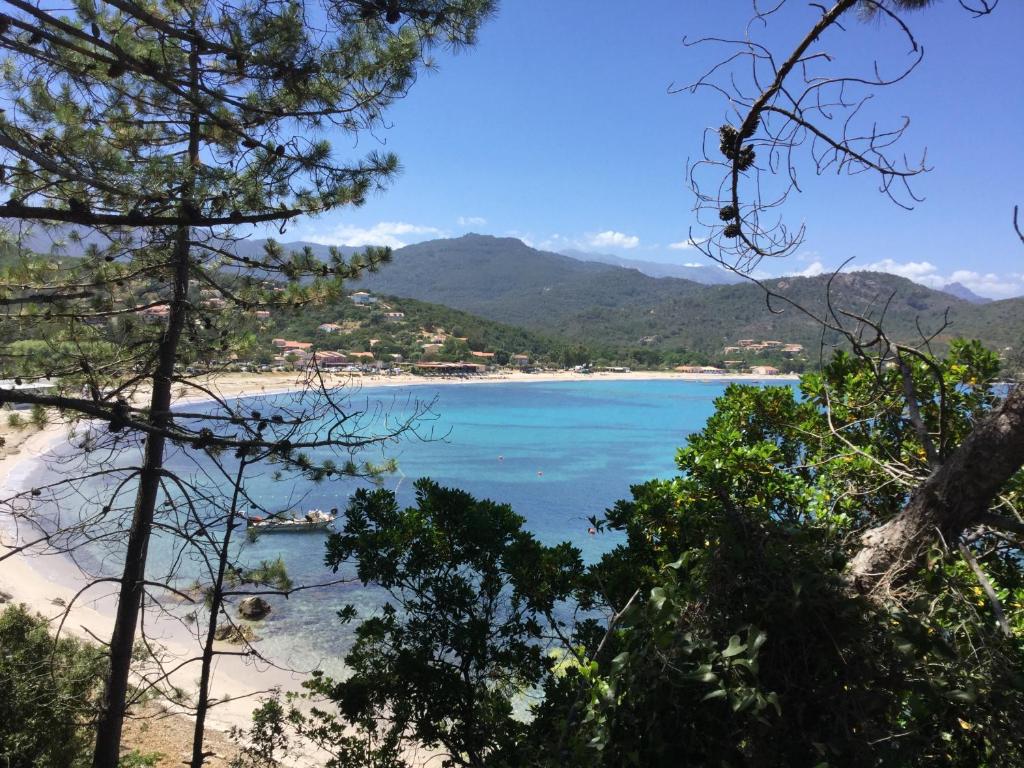 Photo of Résidence Playa Del'Oro in Conca, France