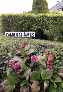 Photo #5 of L'ABRI des ÂMES in Gerponville, France