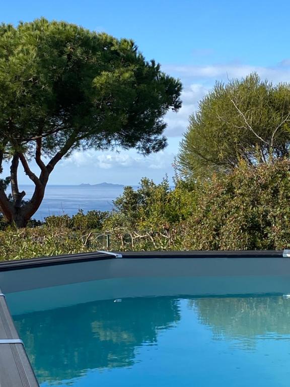 Photo #1 of Villa 180 m2 vue Mer Piscine Climatisée Grand jardin 5000 m2 cloturé Calme in Grosseto Prugna, France