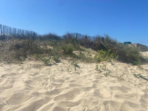 Photo #3 of Vue sur dunes ! in Sangatte, France