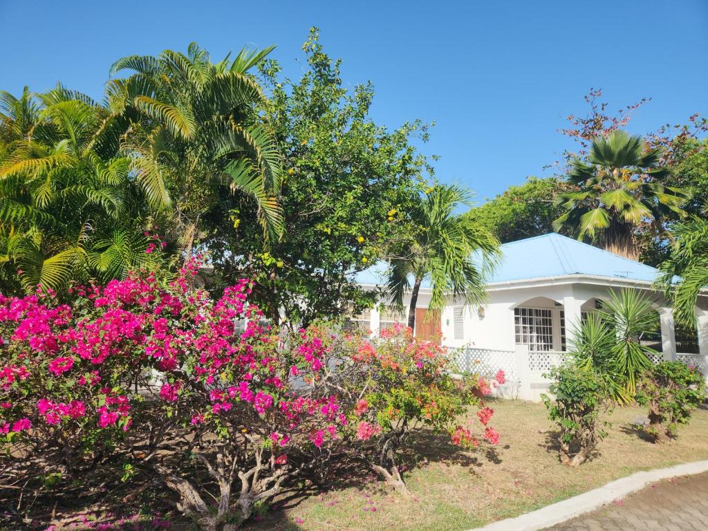 Photo #1 of Ruby Joy Villa in St Georges, Grenada