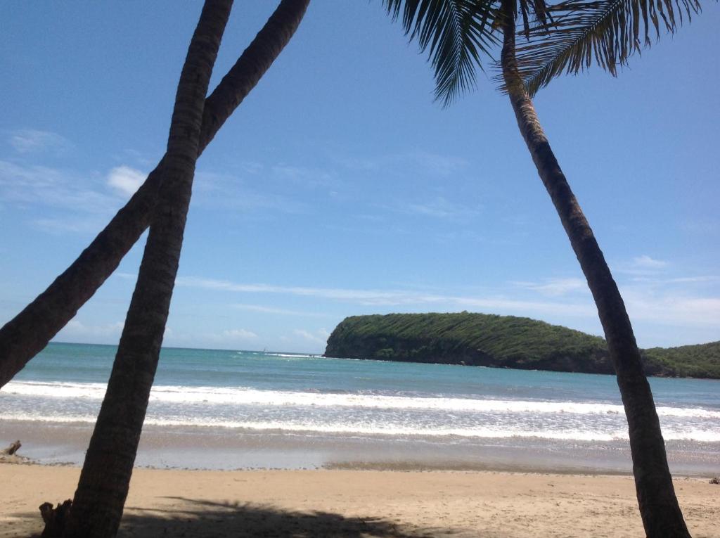 Photo of La Sagesse Hotel, Restaurant and Beach Bar in St Davids, Grenada