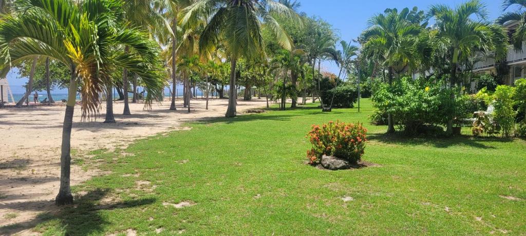 Photo #1 of Studio la Verdure in Saint François, Guadeloupe
