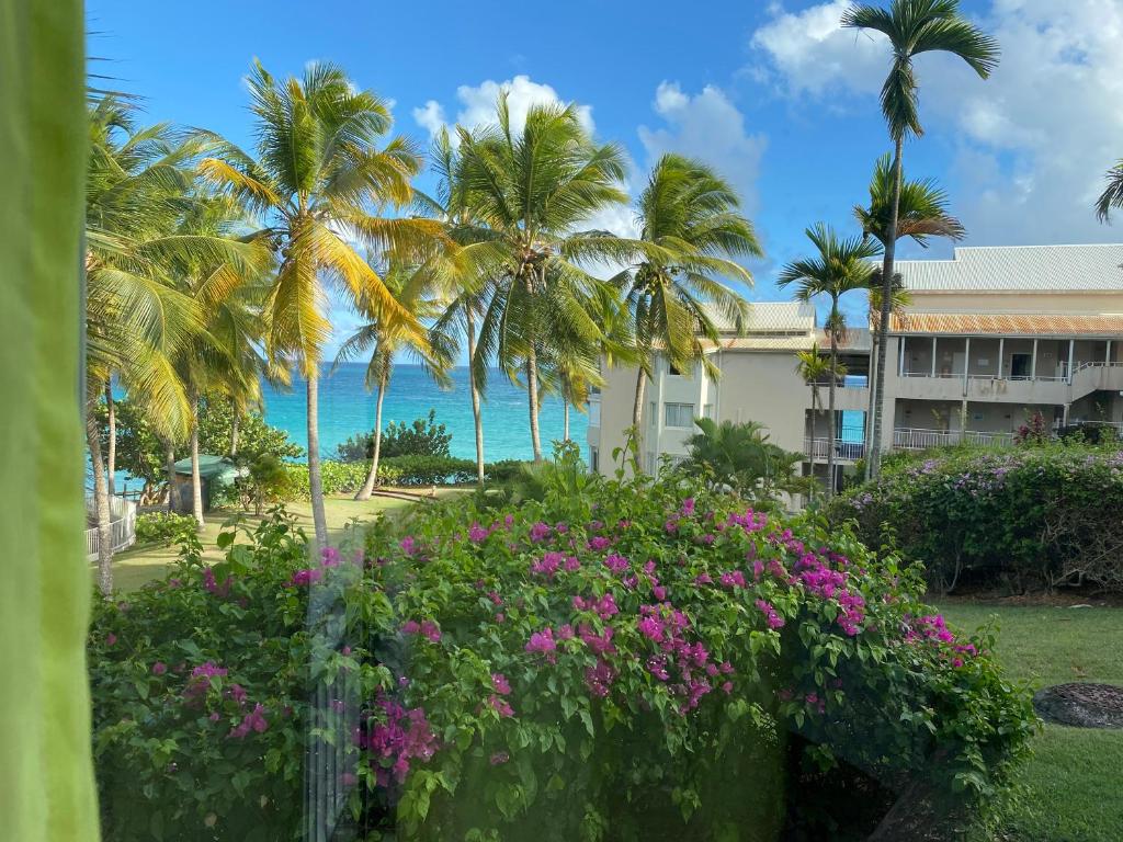 Photo #1 of La pépite de Gosier in Le Gosier, Guadeloupe