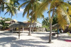 Photo #6 of Studio Bleu Coco in Saint François, Guadeloupe