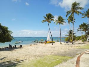 Photo #6 of studio le soleil des tropiques in Saint François, Guadeloupe