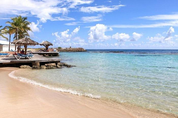 Photo #1 of La vida krys in Saint François, Guadeloupe