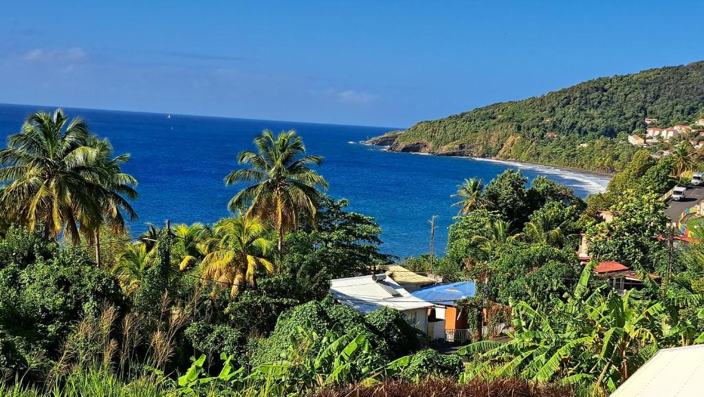 Photo of Escale à grande anse in Trois Rivières, Guadeloupe