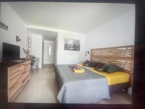 Photo #6 of Studio KOULIKOU 428 ANSE DES ROCHERS in Saint François, Guadeloupe