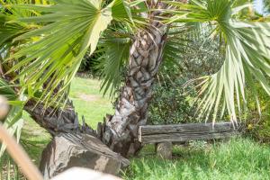 Photo #6 of Domaine Bonheur Indigo in Le Moule, Guadeloupe