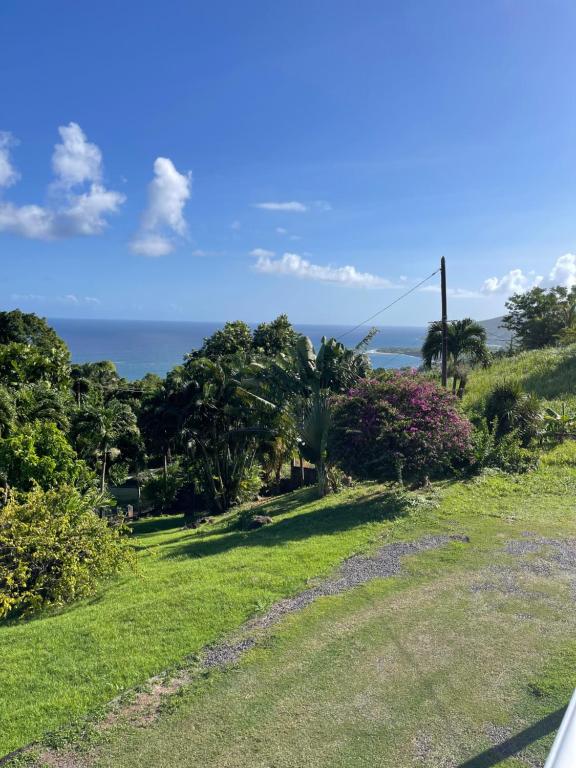 Photo of Appartement Les Balisiers - T3 spacieux vue sur mer in Trois Rivières, Guadeloupe