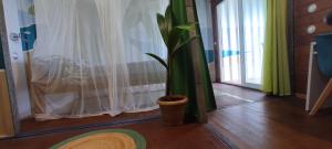 Photo #5 of HOME CONTAINER RESORT Eau in Baie Mahault, Guadeloupe