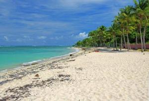 Photo #5 of studio tropical vue mer in Le Moule, Guadeloupe