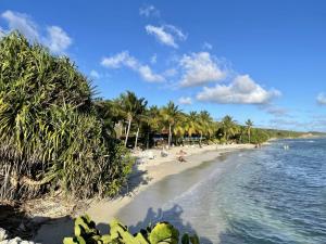 Photo #5 of Village Vacances Sainte Anne - Vue exceptionnelle Piscine et Plage Vue mer - Barbadine 1010 by Studios Barbadine in Sainte Anne, Guadeloupe