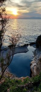 Photo #6 of Vrachokipos in Vathi, Greece