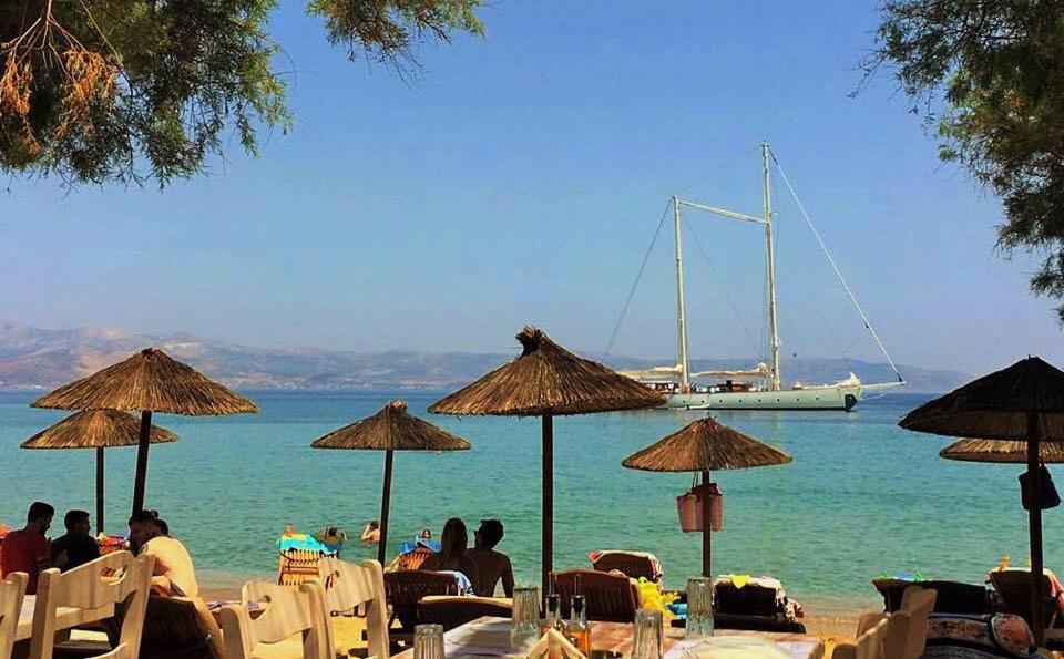 Photo #1 of Cactus Beach Paros in Paros, Greece
