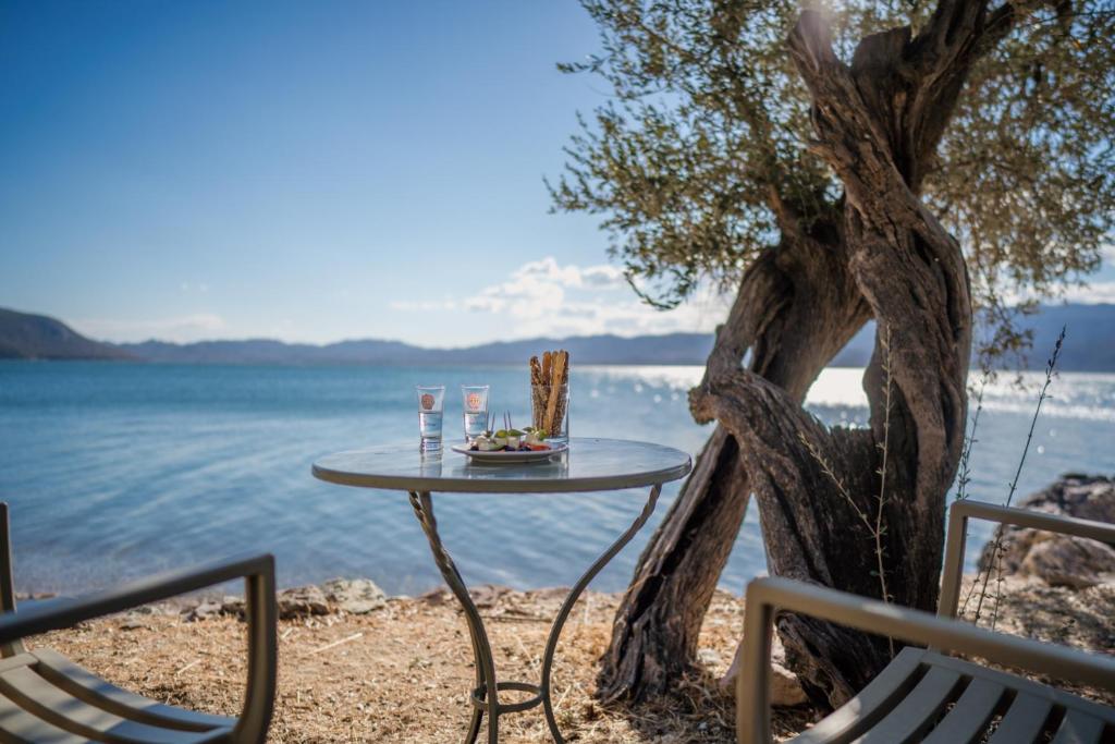 Photo of Traditional Stone House in Seafront Olive Grove A in Aliartos, Greece