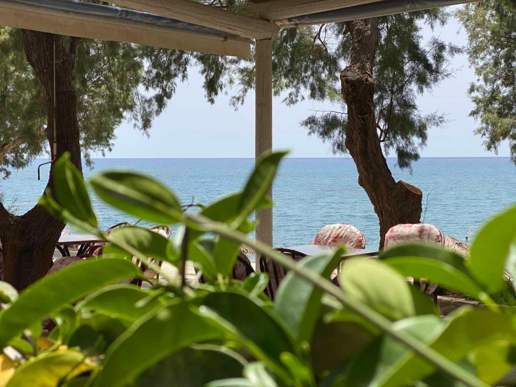 Photo of Apanemia Rooms in Triopetra, Greece