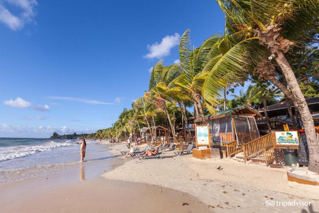 Photo of Bananarama Dive & Beach Resort in West Bay, Honduras
