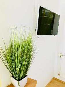 Photo #5 of Apartments Ruza in Kaštel Štafilić, Croatia