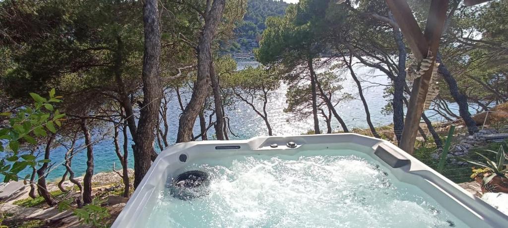 Photo of Apartment by the sea Žirje with private heated hydromassage pool in Žirje, Croatia