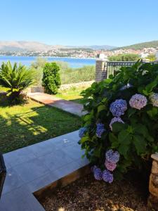 Photo #4 of Apartmani Ivana in Okrug Gornji, Croatia