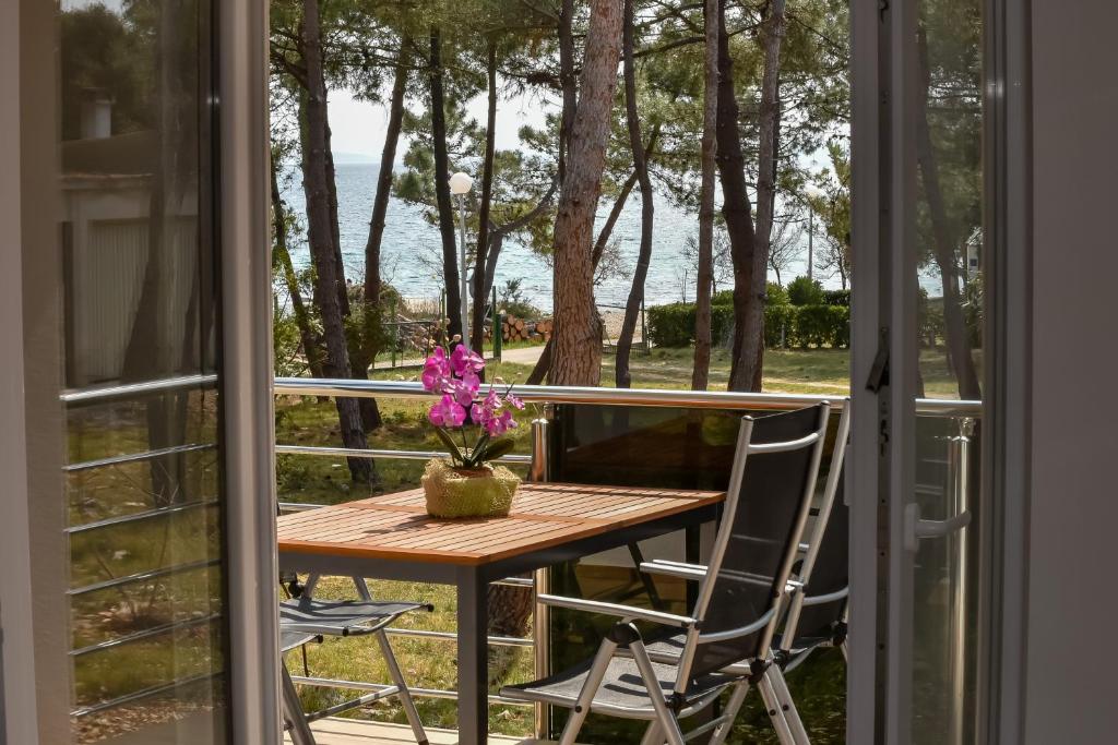 Photo #1 of Denis Apartment in Vir, Croatia