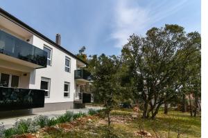 Photo #6 of Denis Apartment in Vir, Croatia