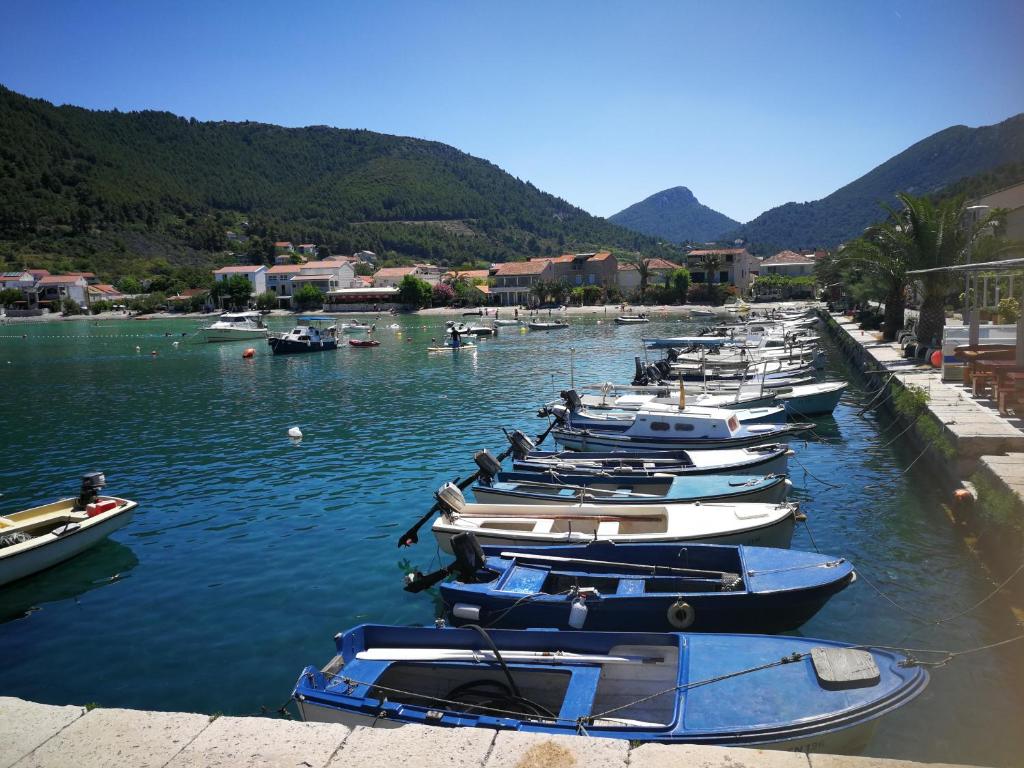 Photo of Vukotić Beach house in Žuljana, Croatia