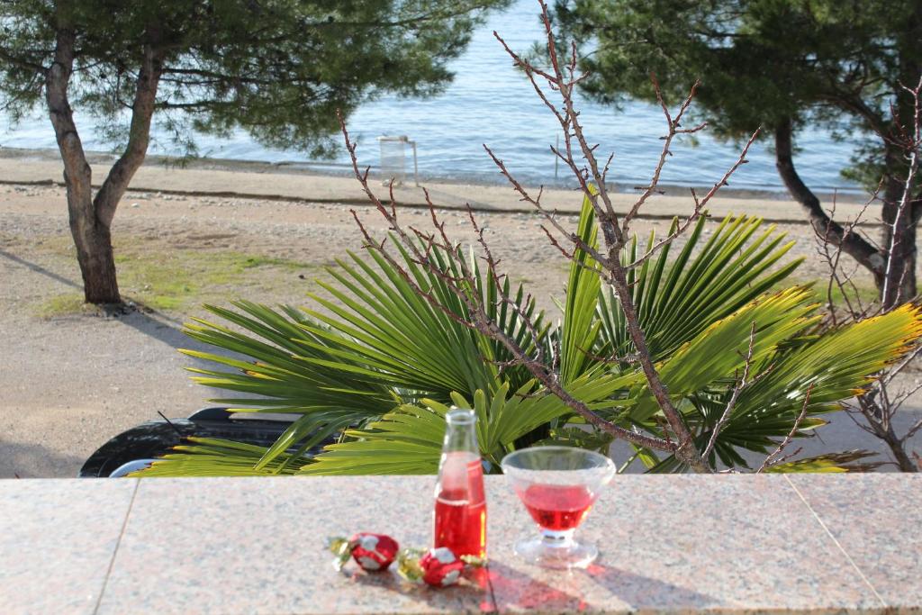 Photo #1 of Diklo beach apartments Robert & Renata in Zadar, Croatia