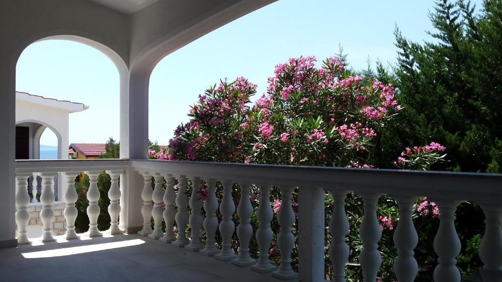 Photo #1 of Apartment Robić in Vir, Croatia