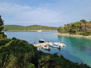 Photo #6 of Studio apartment Ivan in Ćunski, Croatia