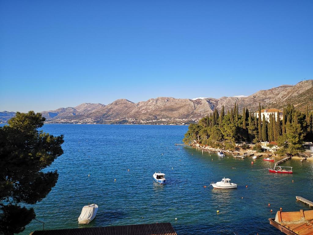 Photo #1 of Apartments Rina Cavtat in Cavtat, Croatia
