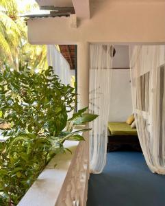 Photo #5 of Janice Villa Arambol in Arambol, India