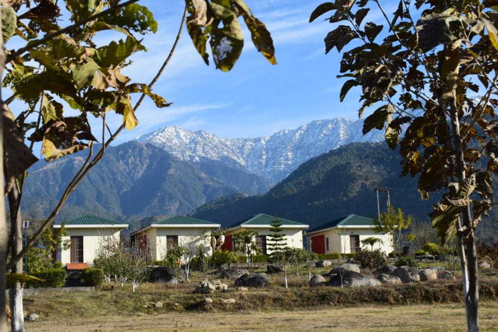 Photo of Dhauladhar View Village Resort in Meti, India